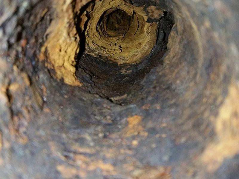 Barrie Sewer Line Repairs